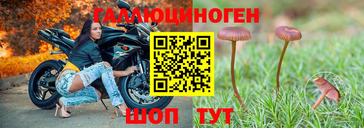 Галлюциногенные грибы ЛСД  Вход с VPN  Тара 