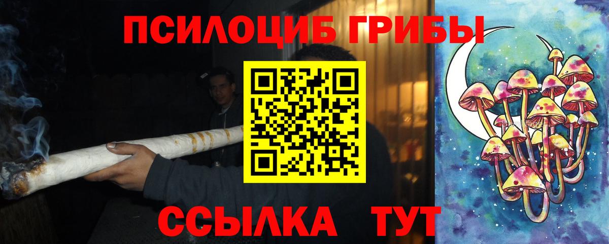 Галлюциногенные грибы Psilocybine cubensis Тара