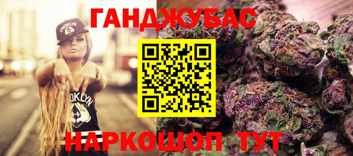 Каннабис планчик Тара